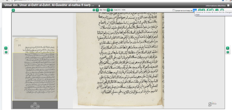 One of the many manuscripts available online on the Bnf site.